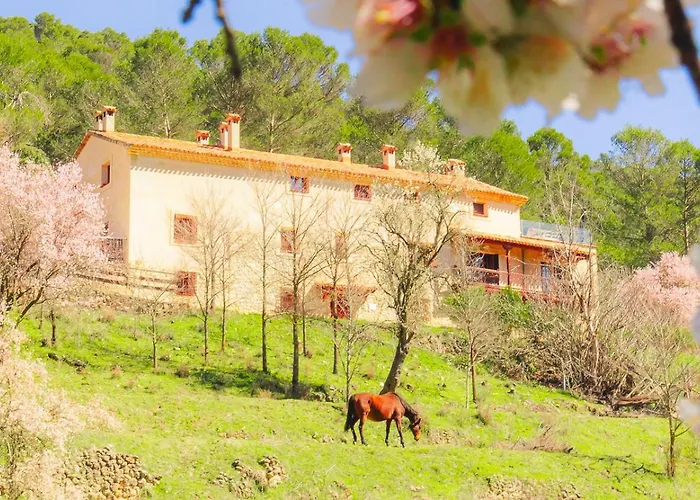 Casa Rural Mirabueno